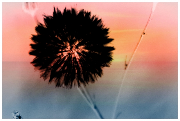 Being Enough enough